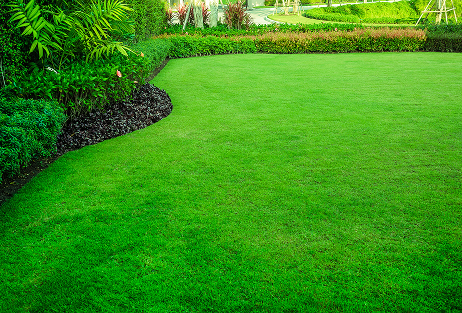 Commercial Lawn Care Barrie