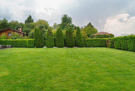 Residential & Commercial Lawn Care Barrie
