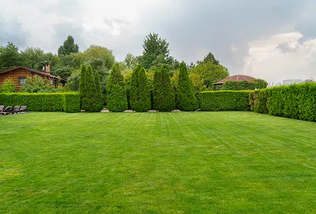 Green Acres Property Maintenance Ltd photo 4